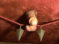 Gloryhole CBT and Handjob Part 2